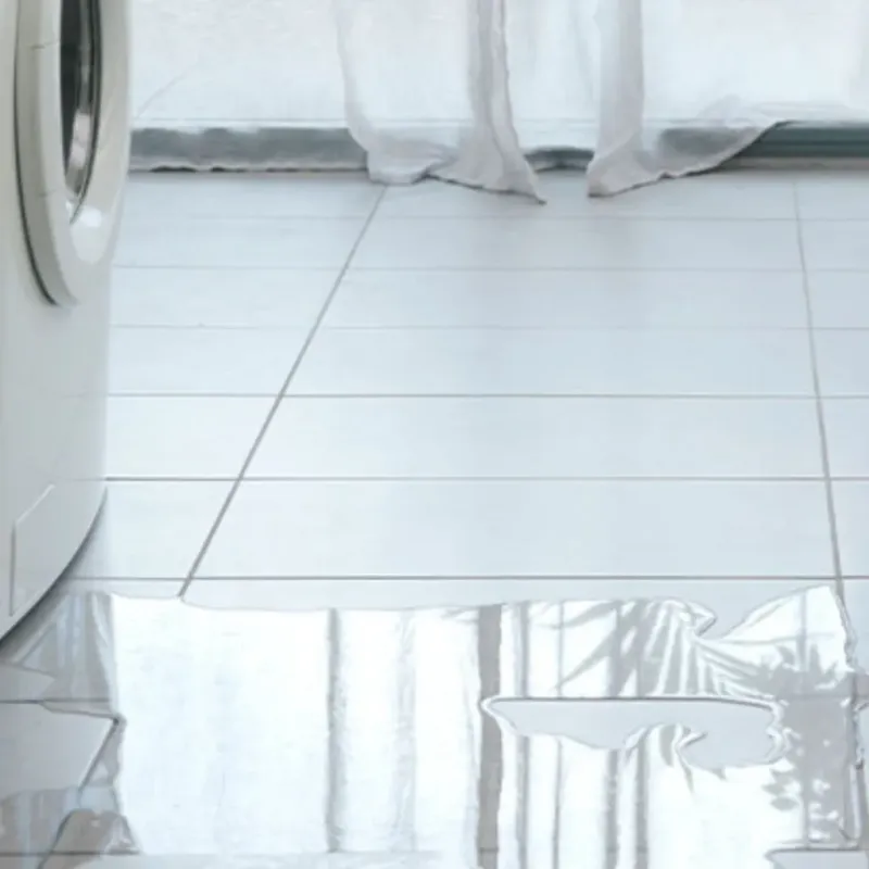 Appliance Leak Cleanup in Wayland, NY