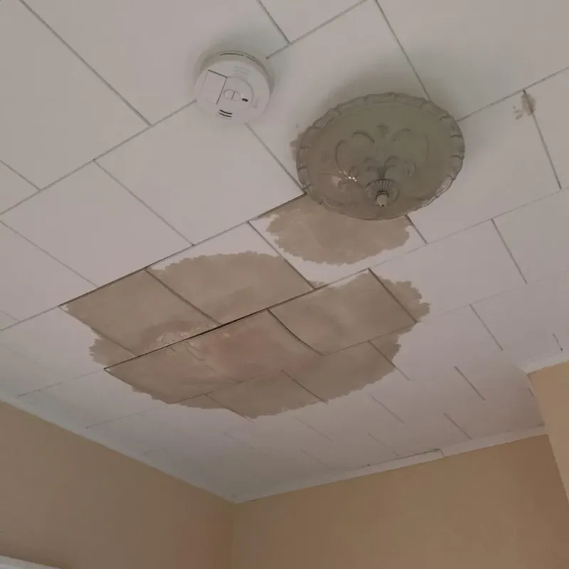 Ceiling Water Damage Repair in Wayland, NY